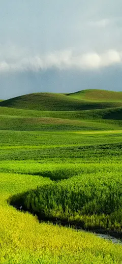 @壁纸目录 的个人主页 - 微博