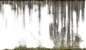 DecalsLeaking0258_3_L