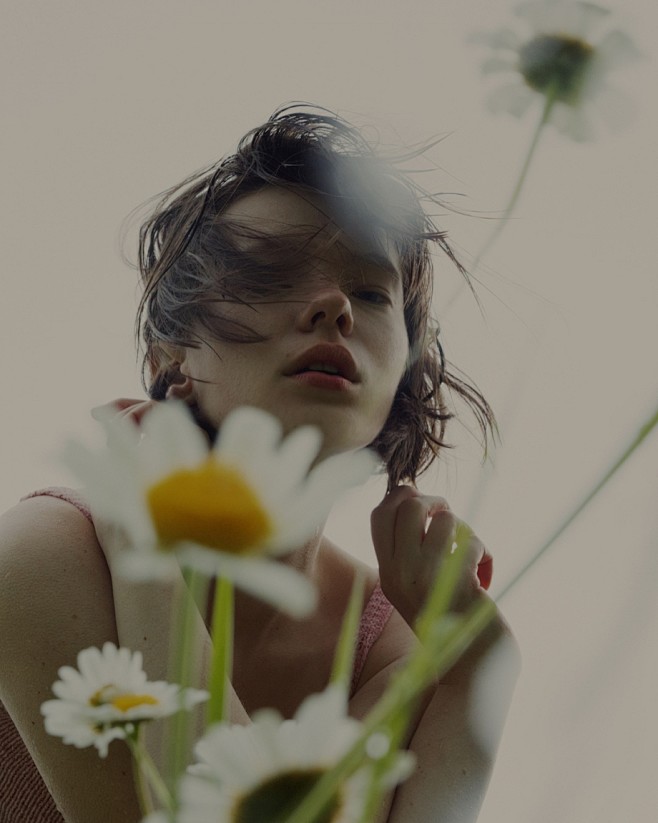 flowers | Marta Beva...