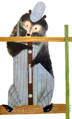 小爱lzh采集到插画小动物