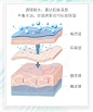 自然堂水润保湿柔肤水135ml爽肤水化妆水 补水滋润冰肌水学生-天猫超市-天猫Tmall.com-上天猫，就购了-理想生活上天猫