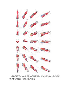 (PDF版本)动漫人体结构表现技法专项训练_267