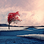 The World Before I Go To Sleep : My name is Caras Ionut and I'm a family man from Romania - I'm 36 years old, married and I have a little angel, named Ioana who's almost 3,5 years old. I love my life, my family and I also love traveling. I try to make fun