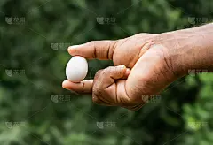 白鸽蛋在一个男性的手近距离观看柔软的散景背景