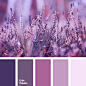 Color Palette #1724 | Color Palette Ideas