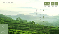 Fantasy~Sky采集到茶叶