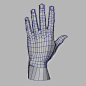 人的手3D模型