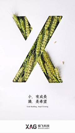 用户yIZjD9WG采集到二十四节气海报