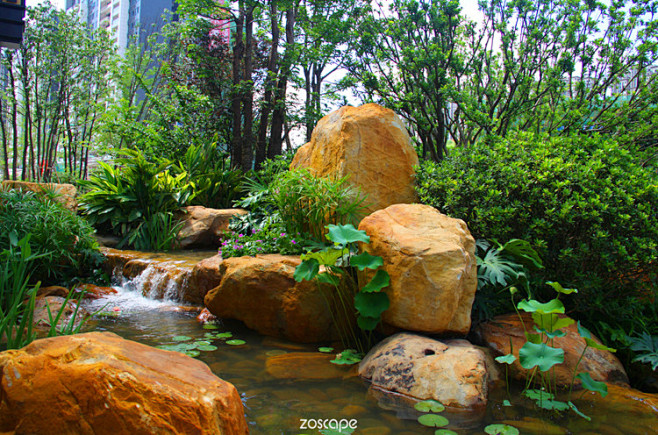 景观绿化#zoscape#植物景观#植物...