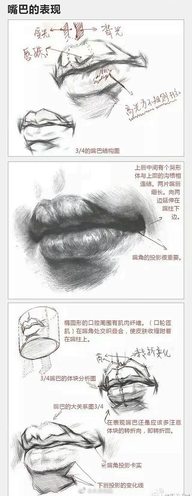 画任何一个五官之前最好先弄清他们生理的生...
