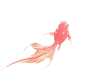 Notempty大生免扣-鱼游PNG (7).png