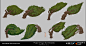 Project Dragon- Various explorations