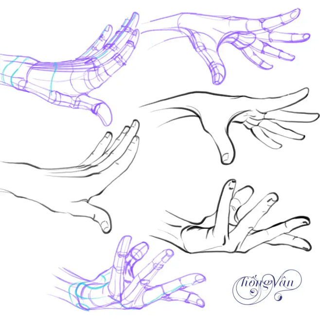 手部动作参考 双人人模#参考#绘画#情侣 #双人#模板#cp 版权归作者所有，侵删