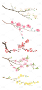 2309SC-素材组合-手绘春花花卉花枝植物元素