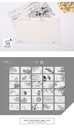信的恋人《一片诗》明信片手绘植物树叶诗词表白文艺风卡片30张-淘宝网