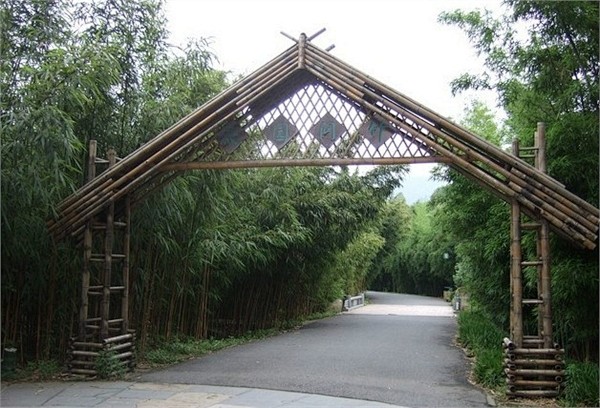 竹子博览园,旅游攻略图片