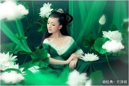 你是佛前的一朵青莲，沐浴着清幽的梵唱，静...