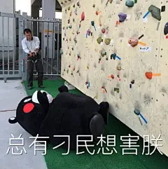 #熊本表情包##Kumamon##表情包# 第九弹 期末考完爽的飞起！快夸我勤快！