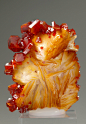 mineralia:<br/>ggeology:<br/>Vanadinte on Barite // Coud’a, Mibladen, Khénifra, Meknès-Tafilalet, Morocco<br/>I yelped when I saw this….