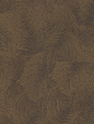 实木地板贴图3d高清无缝材质木纹地板贴图【来源www.zhix5.com】 (49)