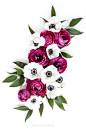 SCstockshopMayFloral046blog