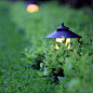 木桩灯 小品灯 景观灯 庭院灯 园林景观 芦苇灯 中式园林 户外壁灯 户外灯 绿城地产园林