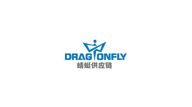 深圳蜻蜓供应链公司LOGO
