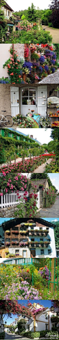 法国花园小镇吉维尼
