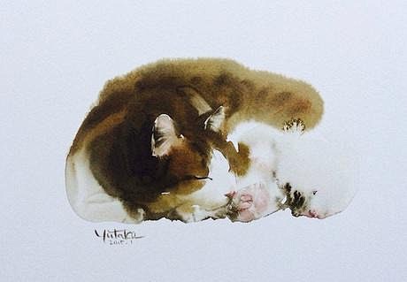 灵动的猫 | 日本画家 村上豊