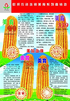 玉米大画  - 源文件下载【酷图网】玉米大画,玉米传单,玉米棒,玉米,玉米品种,玉米轴,穗轴,蓝天白云背景,报纸设计,海报设计,