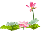 免扣 透明 素材 png 荷叶 莲花 手绘 插画