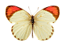 0a9065b333f6b51cea7dff842226a75e80687e874a734-H7of6J_fw1200