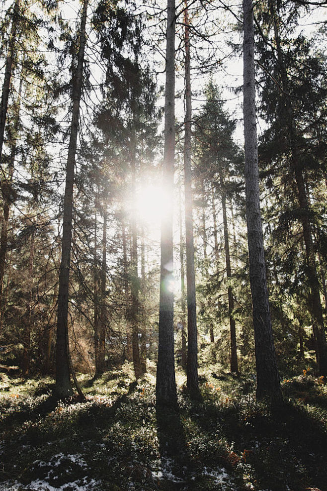 Untitled by Noah Tho...
