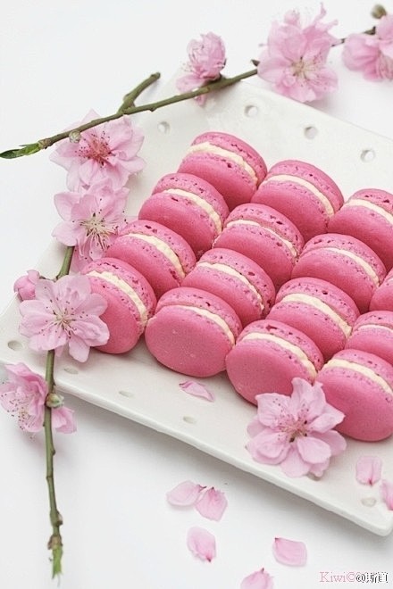 樱花马卡龙想吃的举手