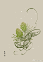 #365天生日花#  3月9日 落叶松 (Larch) 
花语 : 大无畏精神 
