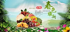 水果海报 【酷图网】展架展板,宣传栏,宣传单,鲜果店,新鲜美味,绿色健康,清脆爽口,苹果雪梨,葡萄樱桃,猕猴桃,超市商场,香蕉橙子,果园果树,画册挂画,卡通艺术,西瓜菠萝,柚子榴莲,果篮包装