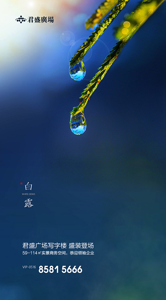 白露
