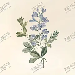 花纹 【酷图网】花纹,花,花纹花朵,手绘花纹,本草,手绘画,牡丹花,玫瑰花,茉莉花,手绘花,手绘,手绘插画,本草纲目,绿色植物,美丽花纹,插画,绘画,园艺,牵牛花,手绘牵牛花,木槿花,郁金香