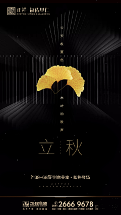 瑶哥哥哥会保护你采集到海报排版