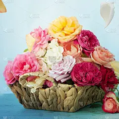 玫瑰贺卡