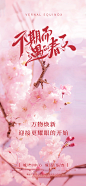 春分节气海报