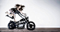 Marketplace : LOOKBOOKS.com is the Technology behind the Talent. Discover, follow, share. 