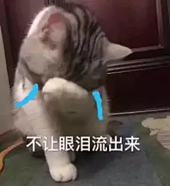 微信 QQ 搞笑 表情包 哈哈 (3472)