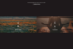 `Anchor采集到有趣的收集