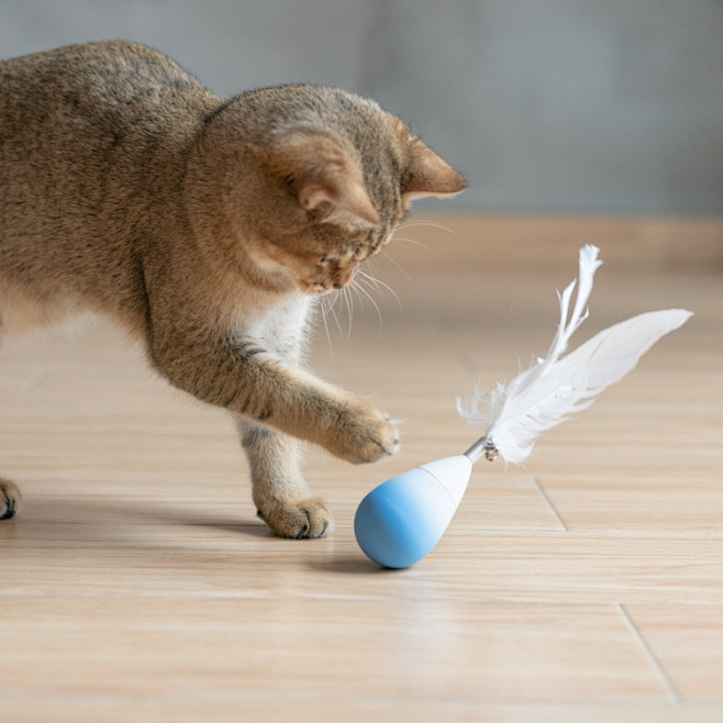 逗猫棒 晨露款 – pidan