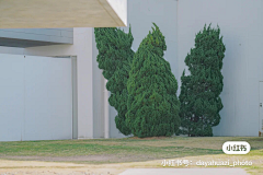 cFRtTr2D采集到生活日常