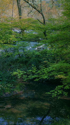 哼唧两声采集到风景