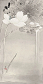 俯视 - 小红书