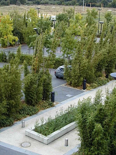心有艳阳采集到景观专项--停车场