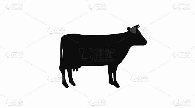 奶牛Icon 。孤立的牛的黑白图解.